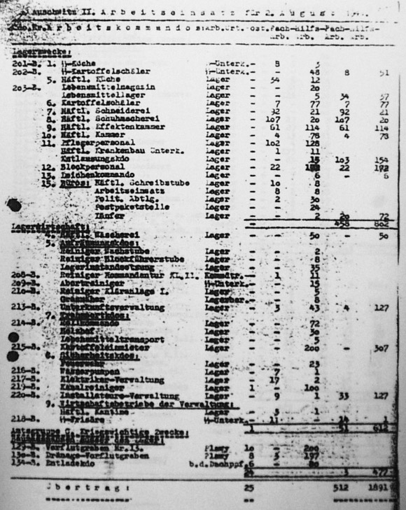 Auschwitz Labor Force, 1944 August 2, p. 1