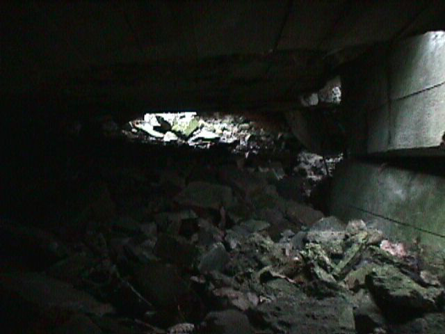 {short description of image}