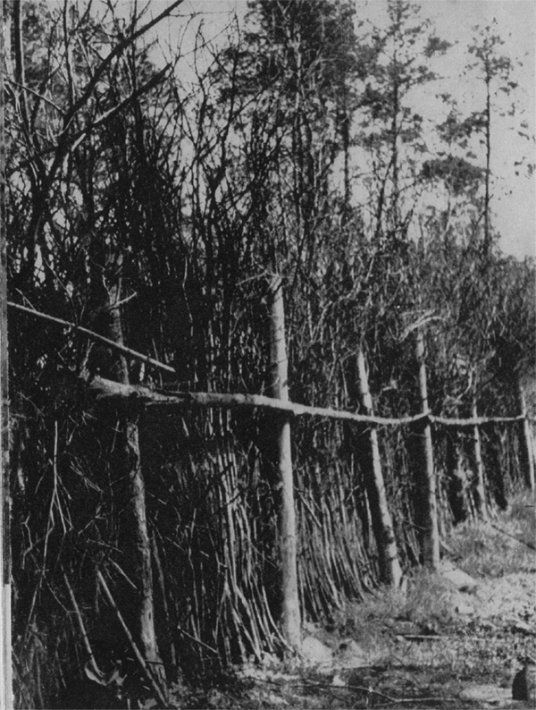 Fence around Crematorium Area
