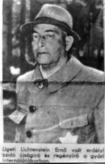 {short description of image}