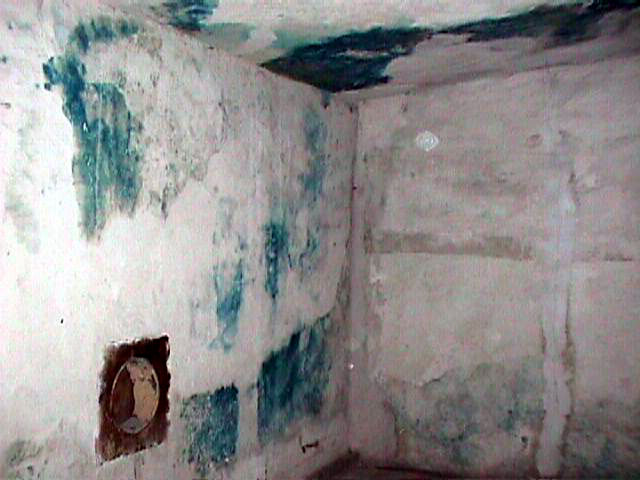 Stains on Wall