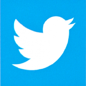 logo Twitter pour suivre PHDN