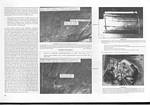 Page 488