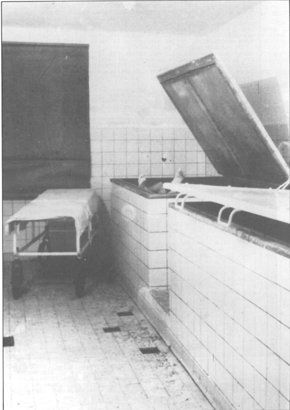 Cadaver vats