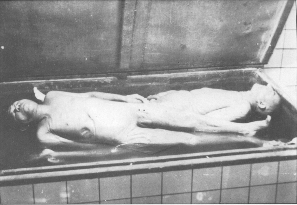 Jewish males in vat