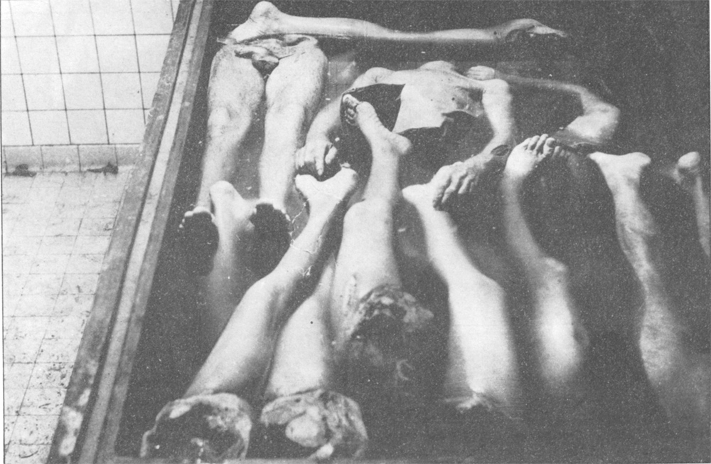 Dismembered cadavers