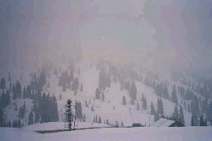 Alta