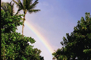 A rainbow