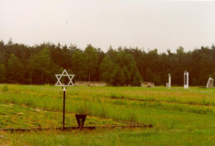 chelmno_graves.jpg