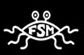 flying spaghetti monster