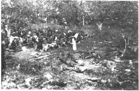 Litauen 1941
