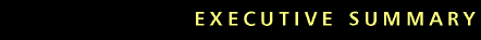 Executive Summary