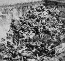 Mass grave in Belsen camp